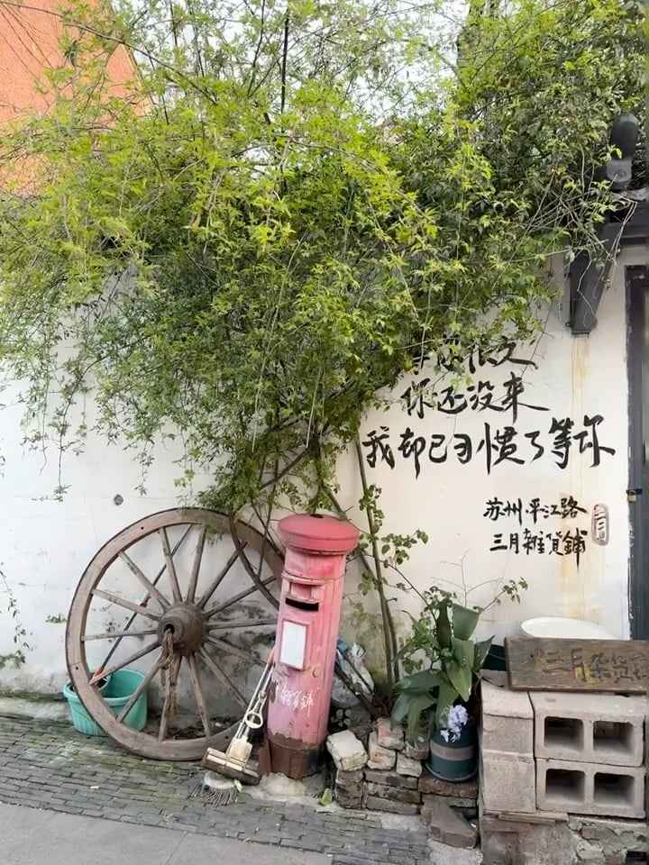 路过老墙边，被这句手写诗戳中了… 🌿